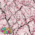 Pink Cherry Tree