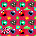 Pink Zebra Sesame Street